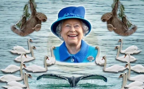 TOP-10 interesting facts about Elizabeth II